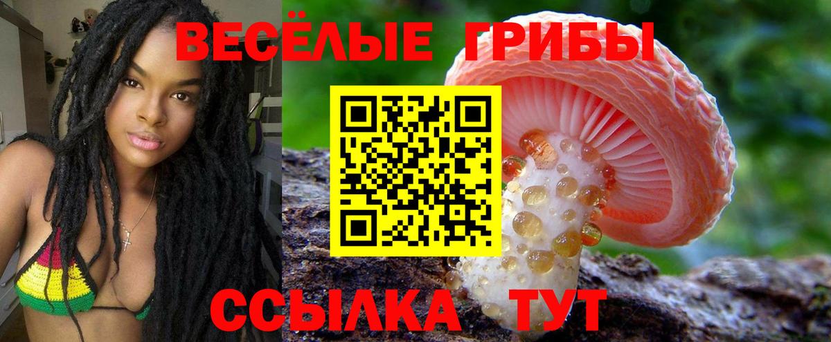 как найти наркотики  Вход с VPN  Галлюциногенные грибы мицелий  Калуга  Галлюциногенные грибы Magic Shrooms 